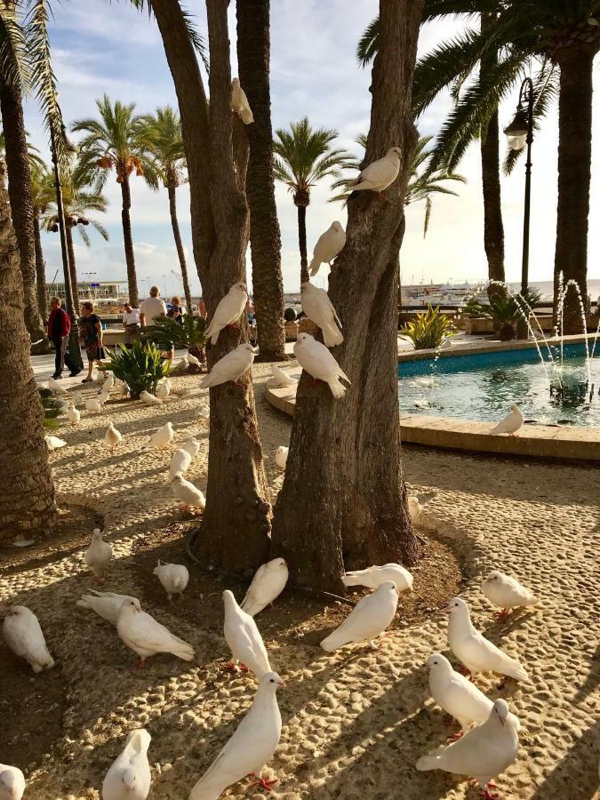 Cometa Center Benidorm Exteriér fotografie
